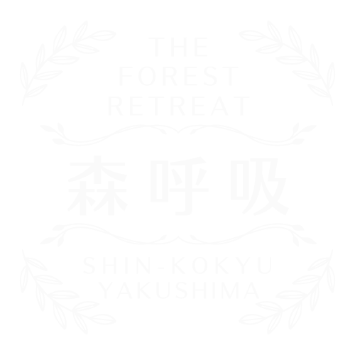 The Forest Retreat 森呼吸 屋久島 森林リトリート&ツアー